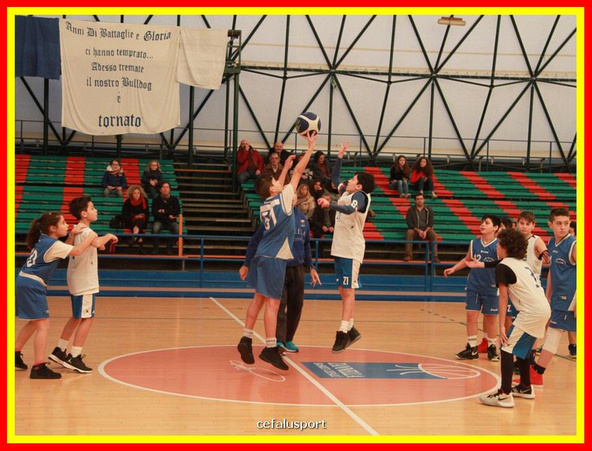 190209 basket 020_tn.jpg